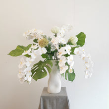 Load image into Gallery viewer, White Cloud