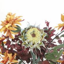 Load image into Gallery viewer, Blushed Ochre