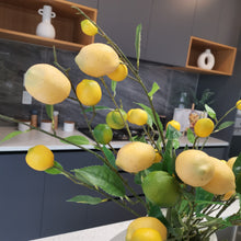 Load image into Gallery viewer, Citrus Still