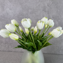 Load image into Gallery viewer, MORNING MIST WHITE TULIPS