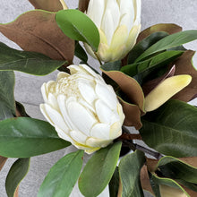 Load image into Gallery viewer, MAGNOLIA SCULPT