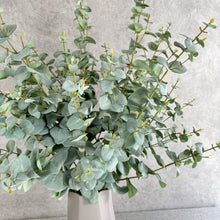 Load image into Gallery viewer, EUCALYPTUS BLUE