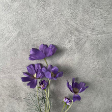 Load image into Gallery viewer, Cosmos Flower Artificial Silk 60cm 15 Colour Selections COSMO001-022
