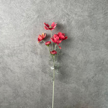 Load image into Gallery viewer, Cosmos Flower Artificial Silk 60cm 15 Colour Selections COSMO001-022