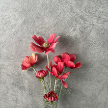 Load image into Gallery viewer, Cosmos Flower Artificial Silk 60cm 15 Colour Selections COSMO001-022