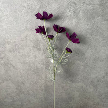 Load image into Gallery viewer, Cosmos Flower Artificial Silk 60cm 15 Colour Selections COSMO001-022