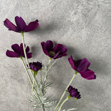 Load image into Gallery viewer, Cosmos Flower Artificial Silk 60cm 15 Colour Selections COSMO001-022