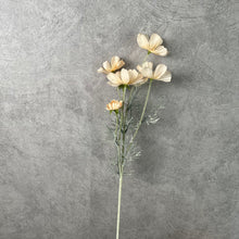 Load image into Gallery viewer, Cosmos Flower Artificial Silk 60cm 15 Colour Selections COSMO001-022