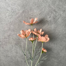 Load image into Gallery viewer, Cosmos Flower Artificial Silk 60cm 15 Colour Selections COSMO001-022