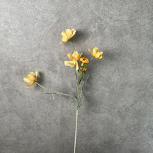 Load image into Gallery viewer, Cosmos Flower Artificial Silk 60cm 15 Colour Selections COSMO001-022
