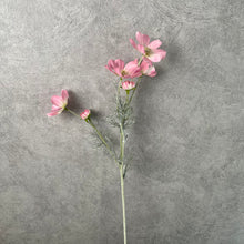 Load image into Gallery viewer, Cosmos Flower Artificial Silk 60cm 15 Colour Selections COSMO001-022
