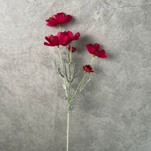 Load image into Gallery viewer, Cosmos Flower Artificial Silk 60cm 15 Colour Selections COSMO001-022