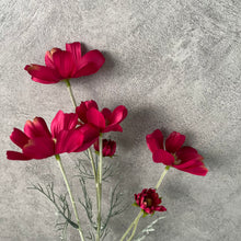 Load image into Gallery viewer, Cosmos Flower Artificial Silk 60cm 15 Colour Selections COSMO001-022