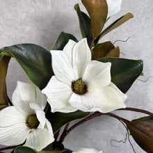 Load image into Gallery viewer, MAGNOLIA NOIR