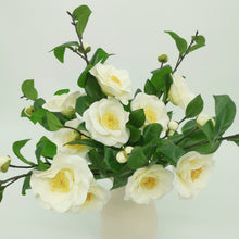 Load image into Gallery viewer, Camellia Blanche