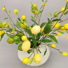 Load image into Gallery viewer, Citrus Still