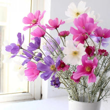 Load image into Gallery viewer, Cosmos Flower Artificial Silk 60cm 15 Colour Selections COSMO001-022