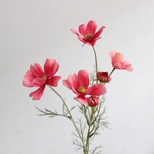Load image into Gallery viewer, Cosmos Flower Artificial Silk 60cm 15 Colour Selections COSMO001-022