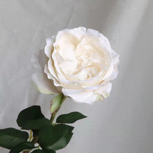 Load image into Gallery viewer, Rose Austin 72cm Single Heads Artificial Flower  Stem 7 Color Selections
