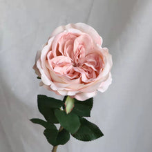 Load image into Gallery viewer, Rose Austin 72cm Single Heads Artificial Flower  Stem 7 Color Selections
