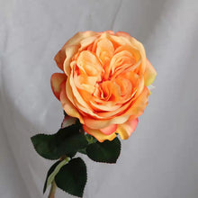 Load image into Gallery viewer, Rose Austin 72cm Single Heads Artificial Flower  Stem 7 Color Selections
