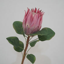 Load image into Gallery viewer, Protea Artificial Silk Flower 67cm Stem PROTEA001-0011
