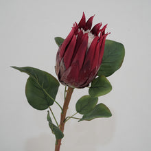 Load image into Gallery viewer, Protea Artificial Silk Flower 67cm Stem PROTEA001-0011
