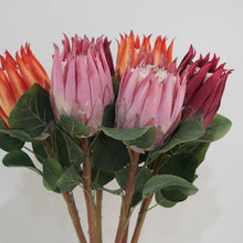 Load image into Gallery viewer, Protea Artificial Silk Flower 67cm Stem PROTEA001-0011
