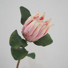Load image into Gallery viewer, Protea Artificial Silk Flower 67cm Stem PROTEA001-0011
