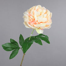 Load image into Gallery viewer, Peony Single Heads Artificial Flower Stem 5 color Selection
