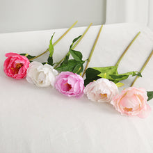 Load image into Gallery viewer, Peony Single Heads Artificial Flower Coral PEONY0011
