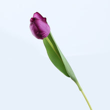 Load image into Gallery viewer, Tulip Artificial Real Touch Silk Flowers 36cm Stem 7 Color Selections TULIP015-025
