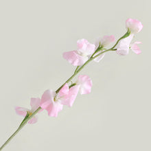 Load image into Gallery viewer, Sweet Pea Artificial Silk Flower 62cm Light Pink SWEETPEA005
