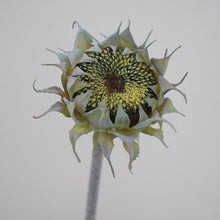 Load image into Gallery viewer, Sunflower Artificial Silk Flower 3 Color Selection SUNFLOWER002-005
