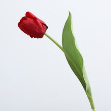 Load image into Gallery viewer, Tulip Artificial Real Touch Silk Flowers 36cm Stem 7 Color Selections TULIP015-025
