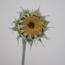 Load image into Gallery viewer, Sunflower Artificial Silk Flower 3 Color Selection SUNFLOWER002-005
