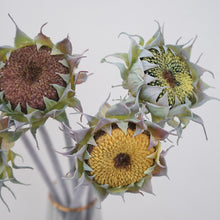 Load image into Gallery viewer, Sunflower Artificial Silk Flower 3 Color Selection SUNFLOWER002-005
