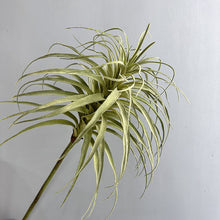 Load image into Gallery viewer, Tillandsia Artificial Greenery 90cm TILLANDSIA01
