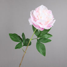 Load image into Gallery viewer, Peony Single Heads Artificial Flower Stem 5 color Selection
