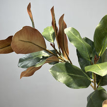 Load image into Gallery viewer, Manolia Leaf 112cm Artificial Green Stem MAGNOLIALEAF01
