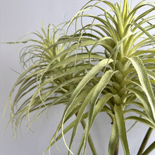 Load image into Gallery viewer, Tillandsia Artificial Greenery 90cm TILLANDSIA01
