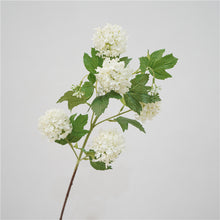 Load image into Gallery viewer, Snowball 5 Heads Artificial Silk Flower 78cm SNOWBALL001-003
