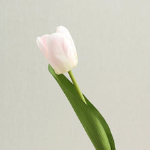 Load image into Gallery viewer, Tulip Artificial Real Touch Silk Flowers 36cm Stem 7 Color Selections TULIP015-025
