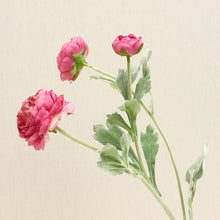 Load image into Gallery viewer, Ranunculus Artificial Silk Flower light pink RANUNCULUS0005-8
