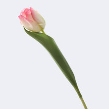 Load image into Gallery viewer, Tulip Artificial Real Touch Silk Flowers 36cm Stem 7 Color Selections TULIP015-025
