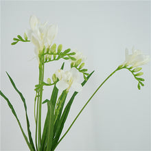 Load image into Gallery viewer, Freesia Artificial Silk Flower 70cm White FREESIA001
