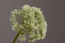Load image into Gallery viewer, Sedum Artificial Silk Flower SEDUM01-02
