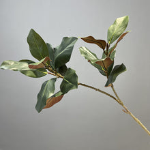 Load image into Gallery viewer, Manolia Leaf 112cm Artificial Green Stem MAGNOLIALEAF01

