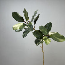 Load image into Gallery viewer, Manolia Leaf 112cm Artificial Green Stem MAGNOLIALEAF01
