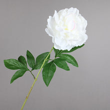 Load image into Gallery viewer, Peony Single Heads Artificial Flower Stem 5 color Selection
